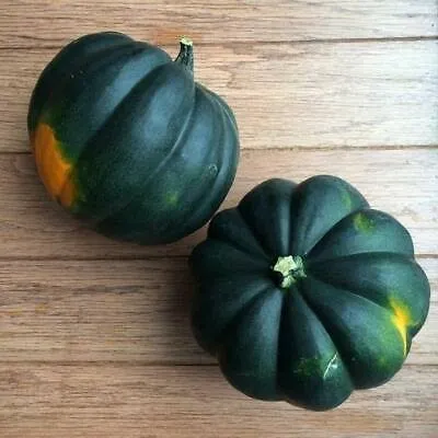 হাইব্রিড কিলো মিষ্টি কুমড় বীজা । Hybrid Kilo Sweet Pumpkin Seeds_img_0