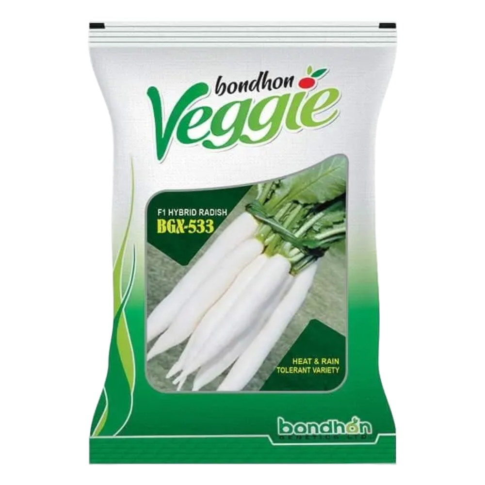 হাইব্রিড মূলা বিজিক্স -৫৩৩ । hybrid radish BGX - 533