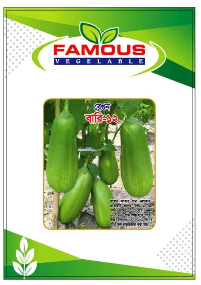 কেজি বেগুন / বারি বেগুন ১২ । Bari begun baro / kg begun_img_1