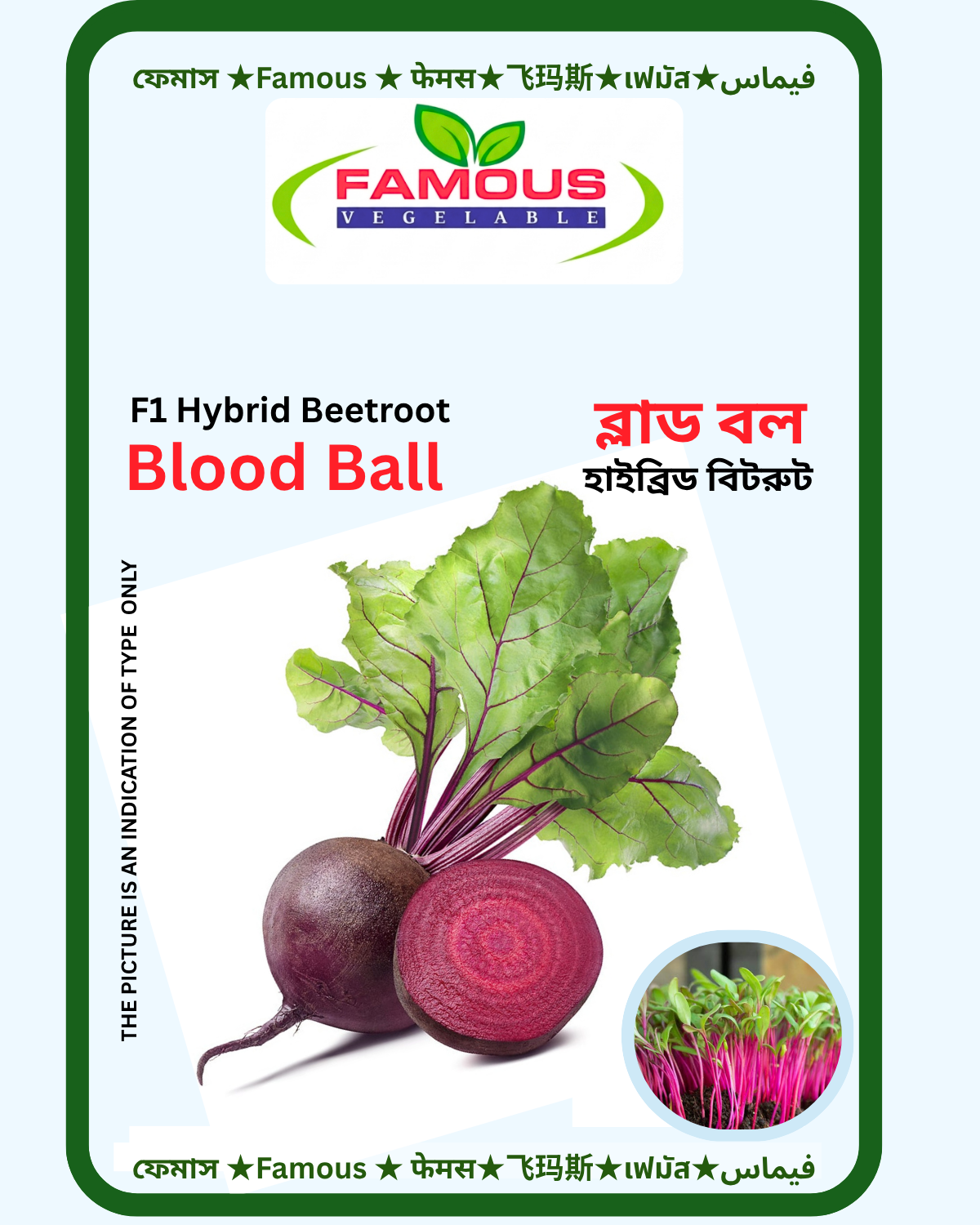 উচ্চ ফলনশীল জাতের  হাইব্রিড  বিটরুটের বীজ ব্লাড বল।  F1 Hybrid Beetroot Blood Ball