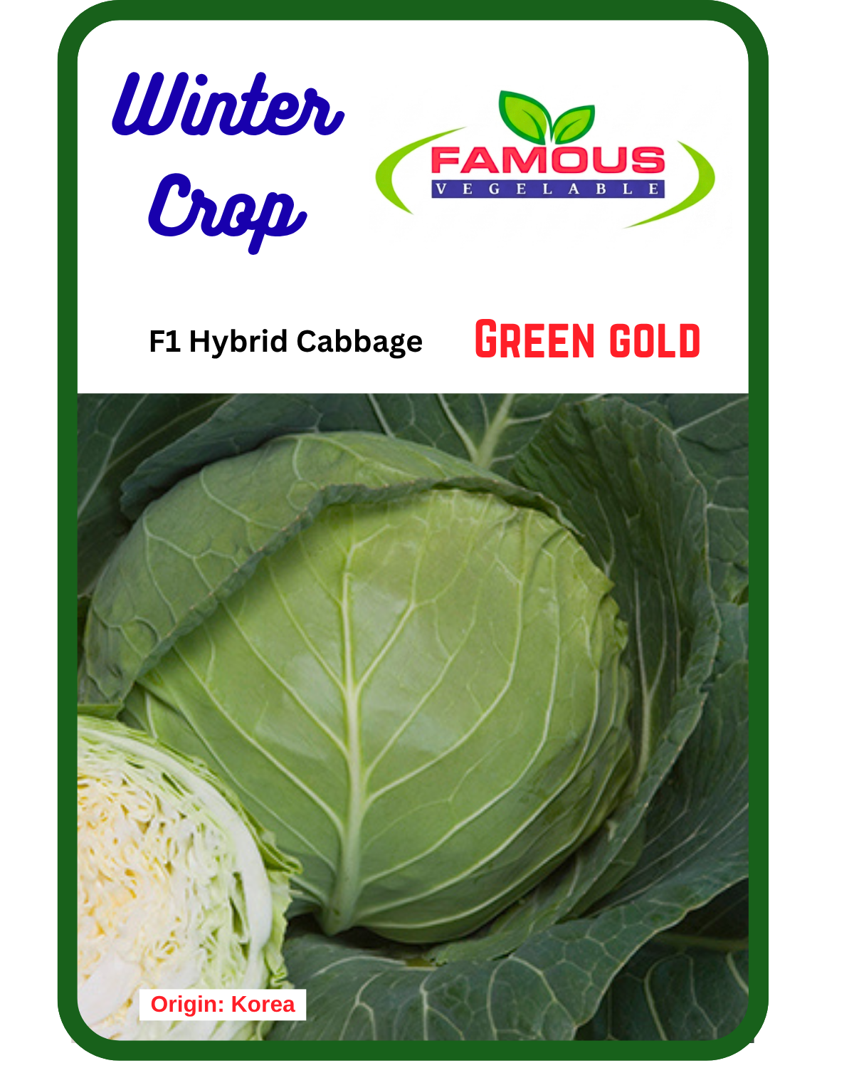 সেরা জাতের হাইব্রিড  বাঁধাকপি । F1 Hybrid Cabbage Seeds