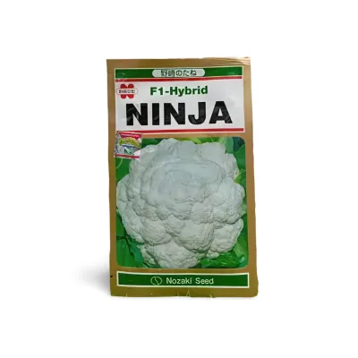 নিনজা ফুলকপি । Ninja Fulkopi  Ninja Cauliflower Seed_img_0