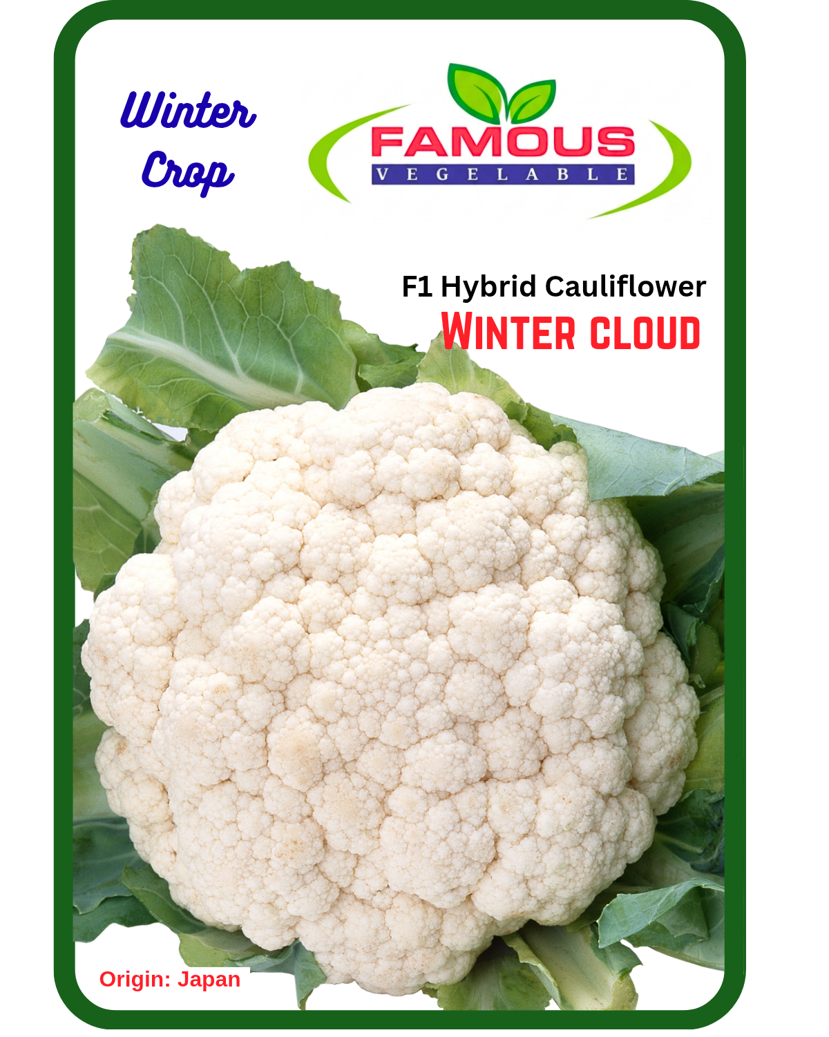 হাইব্রিড জাতের ফুলকপির বীজ। Hybrid cauliflower seeds_img_0