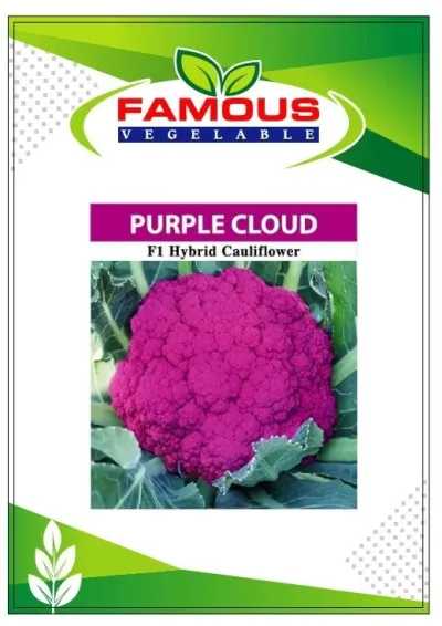 বেগুনি কালার রঙিন ফুলকপি পার্পল ক্লাউড। Purple colored cauliflower seeds Purple cloud_img_1