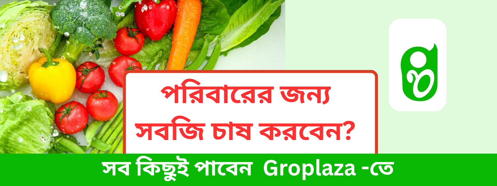 পারিবারিক সবজি বাগান অথবা ছাদবাগান