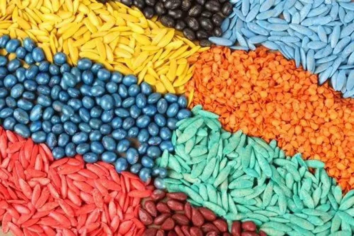 Vegetable Seeds