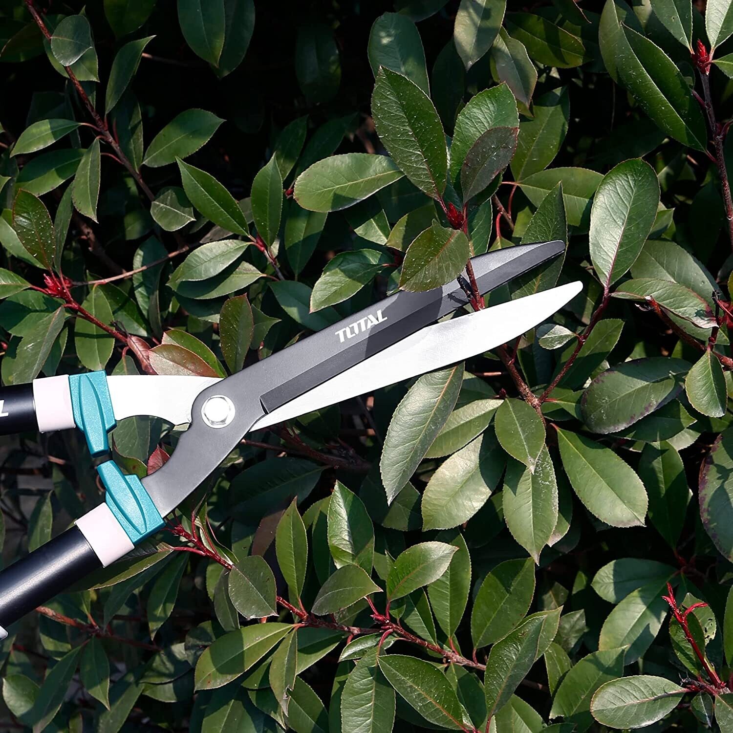 TOTAL THT1516001 Hedge Shear, 22" (557mm), Carbon Steel with Teflon Coating, Cutting Capacity 10mm | Industrial | Model: THT1516001_img_1