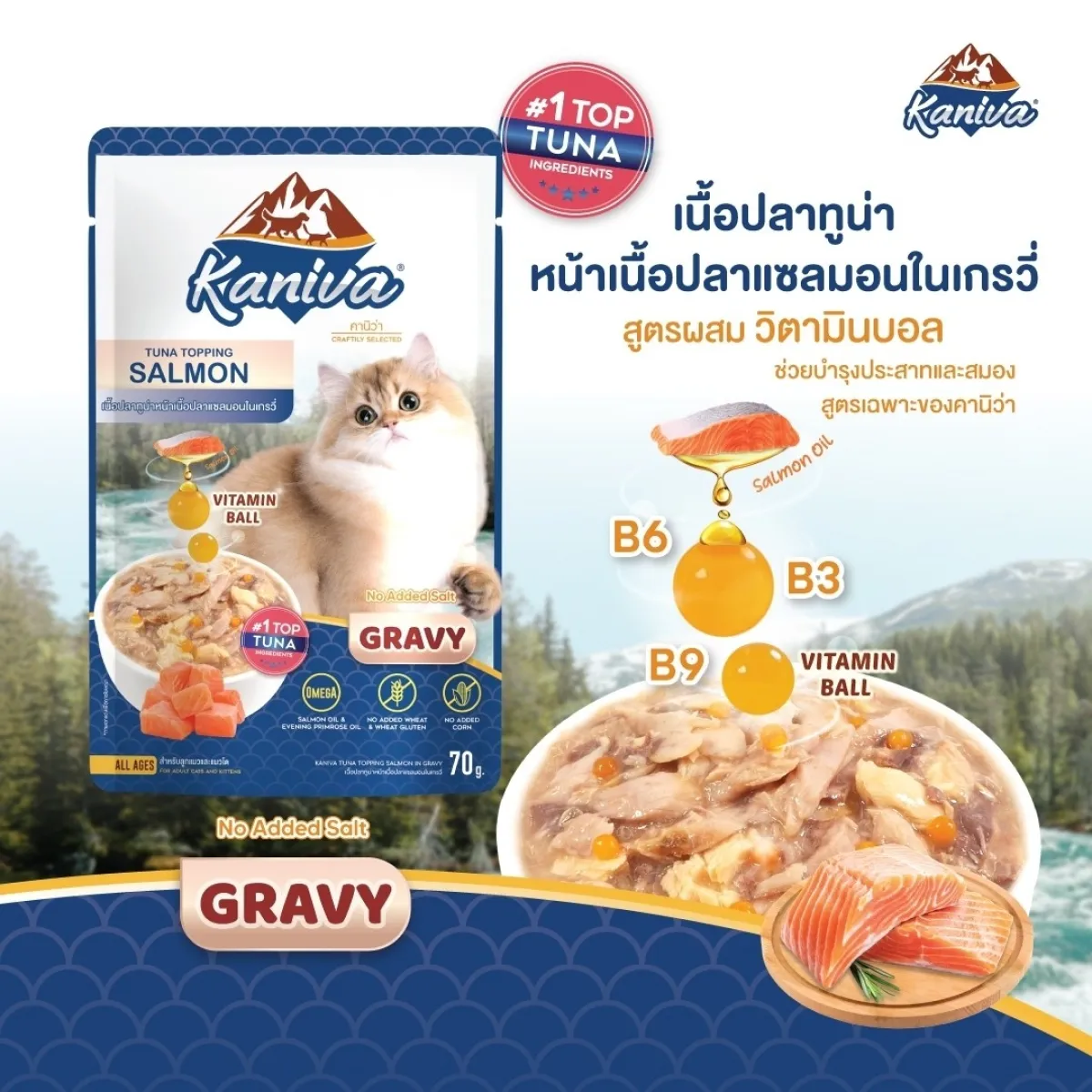 Kaniva Tuna Topping Salmon in Gravy – 70g