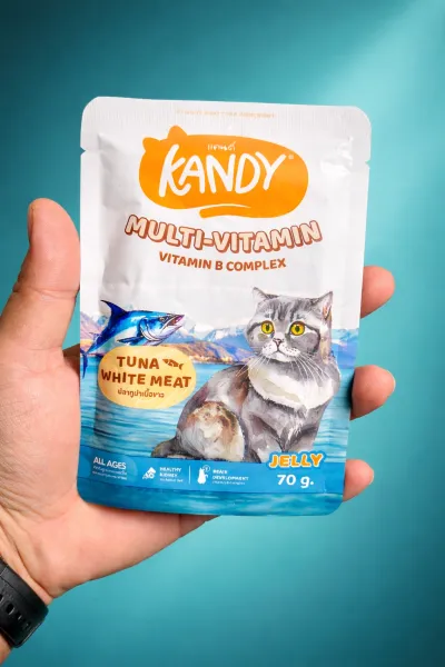 Kandy Multivitamin & B complex pouch 70g_img_0