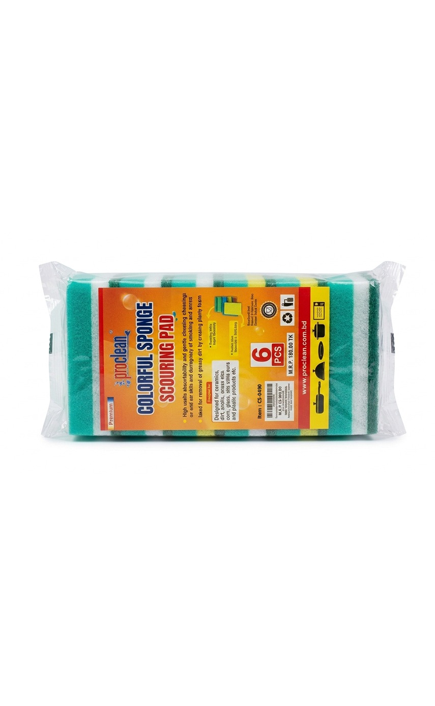Colorful Sponge Scouring Pad_CS-0490 (6pcs)