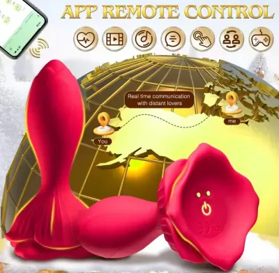 Vibrating Rose Butt Plug APP Remote Control Vibrators 9 Modes Waterproof Silicone Anal Plug Adult Sex Toys Vibrator For Beginner_img_2