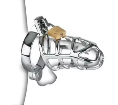 Metal Male Chastity Devices Hollow Cock Cage Penis Ring Sleeve Lockable Sex Toy for Men Bird Chastity Cage Bird Device For Adult_img_0