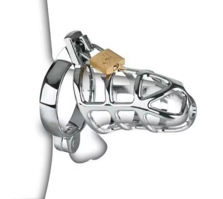 Metal Male Chastity Devices Hollow Cock Cage Penis Ring Sleeve Lockable Sex Toy for Men Bird Chastity Cage Bird Device For Adult_img_0