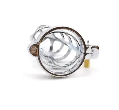 Metal Male Chastity Devices Hollow Cock Cage Penis Ring Sleeve Lockable Sex Toy for Men Bird Chastity Cage Bird Device For Adult_img_4