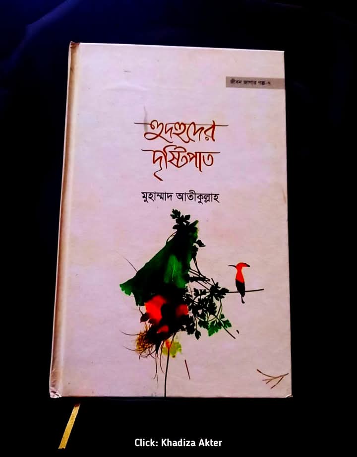হুদহুদের দৃষ্টিপাত
