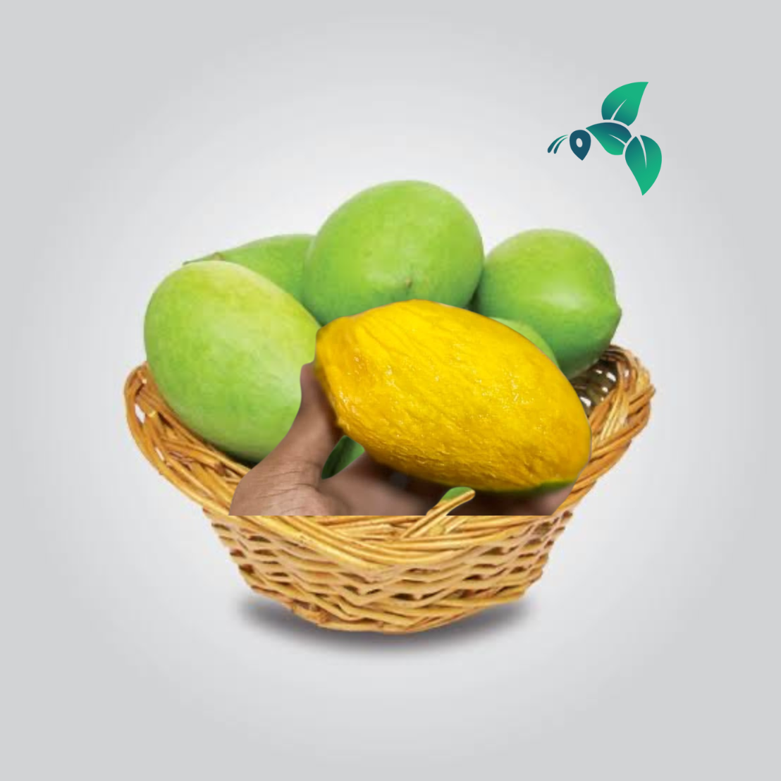 সুরমা ফজলী আম (Surma Fazlee Mango)_img_2