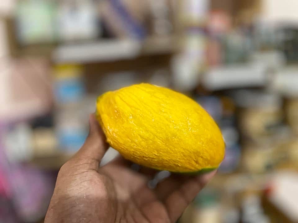 সুরমা ফজলী আম (Surma Fazlee Mango)_img_4