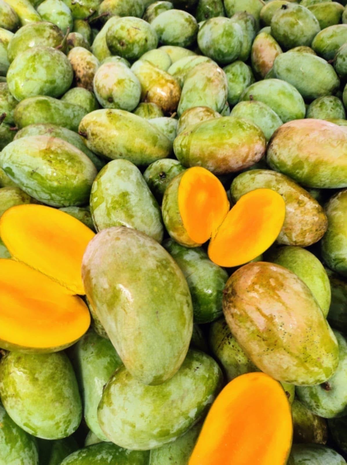 সুরমা ফজলী আম (Surma Fazlee Mango)_img_7