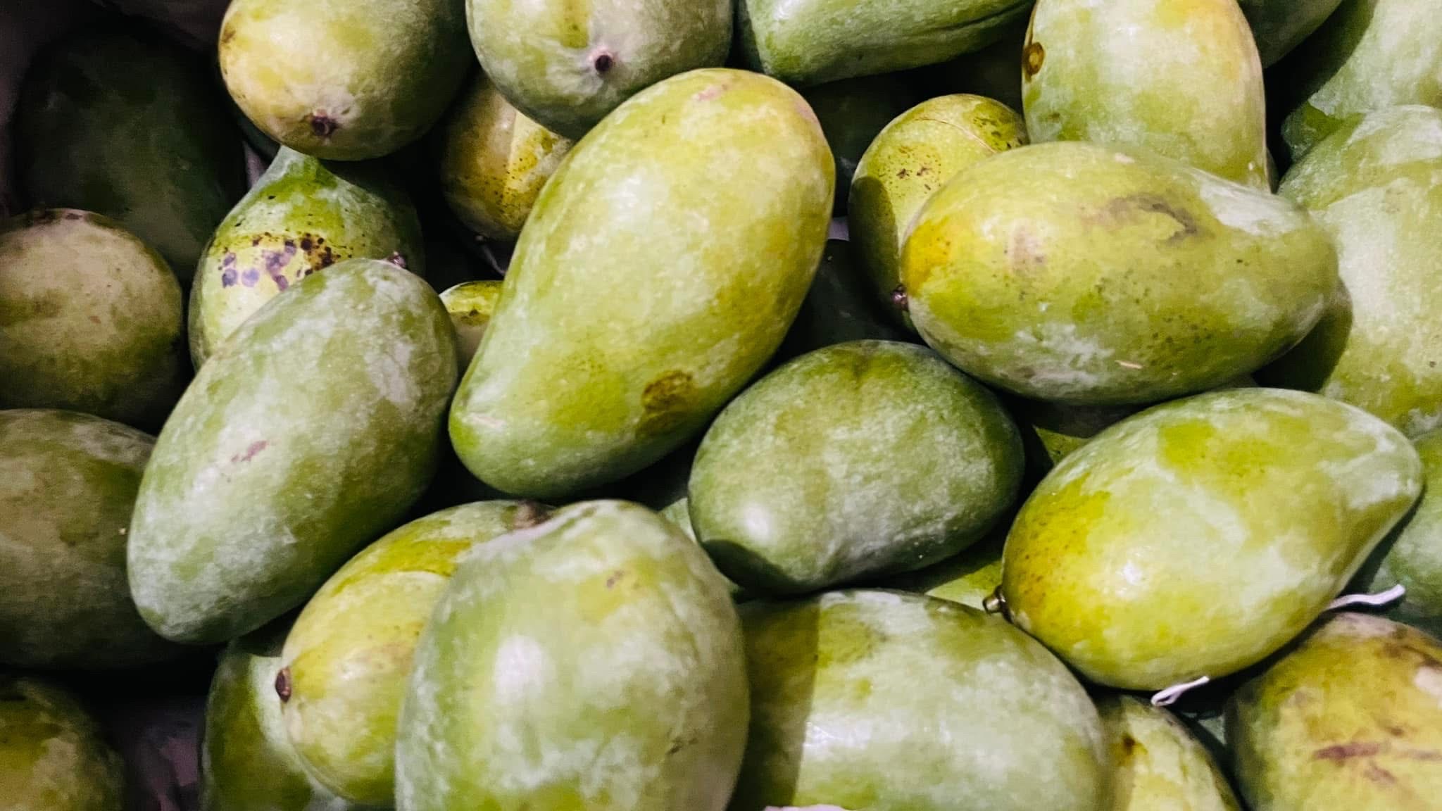 সুরমা ফজলী আম (Surma Fazlee Mango)_img_8