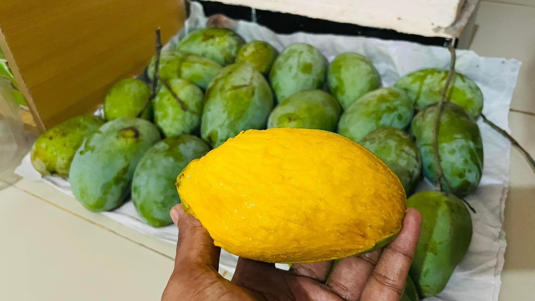 সুরমা ফজলী আম (Surma Fazlee Mango)_img_9