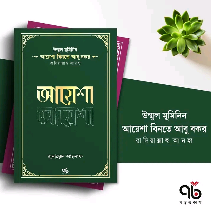 আয়েশা বিনতে আবু বকর রাদিয়াল্লাহু আনহা