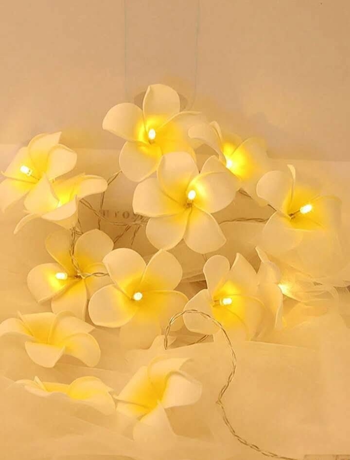 Wood Rose Fairy Light