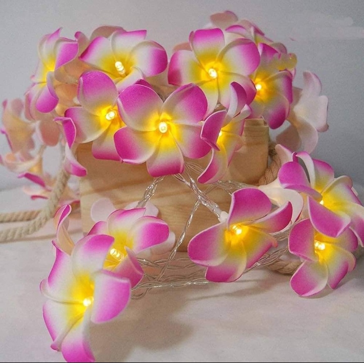 Wood Rose Fairy Light_img_1