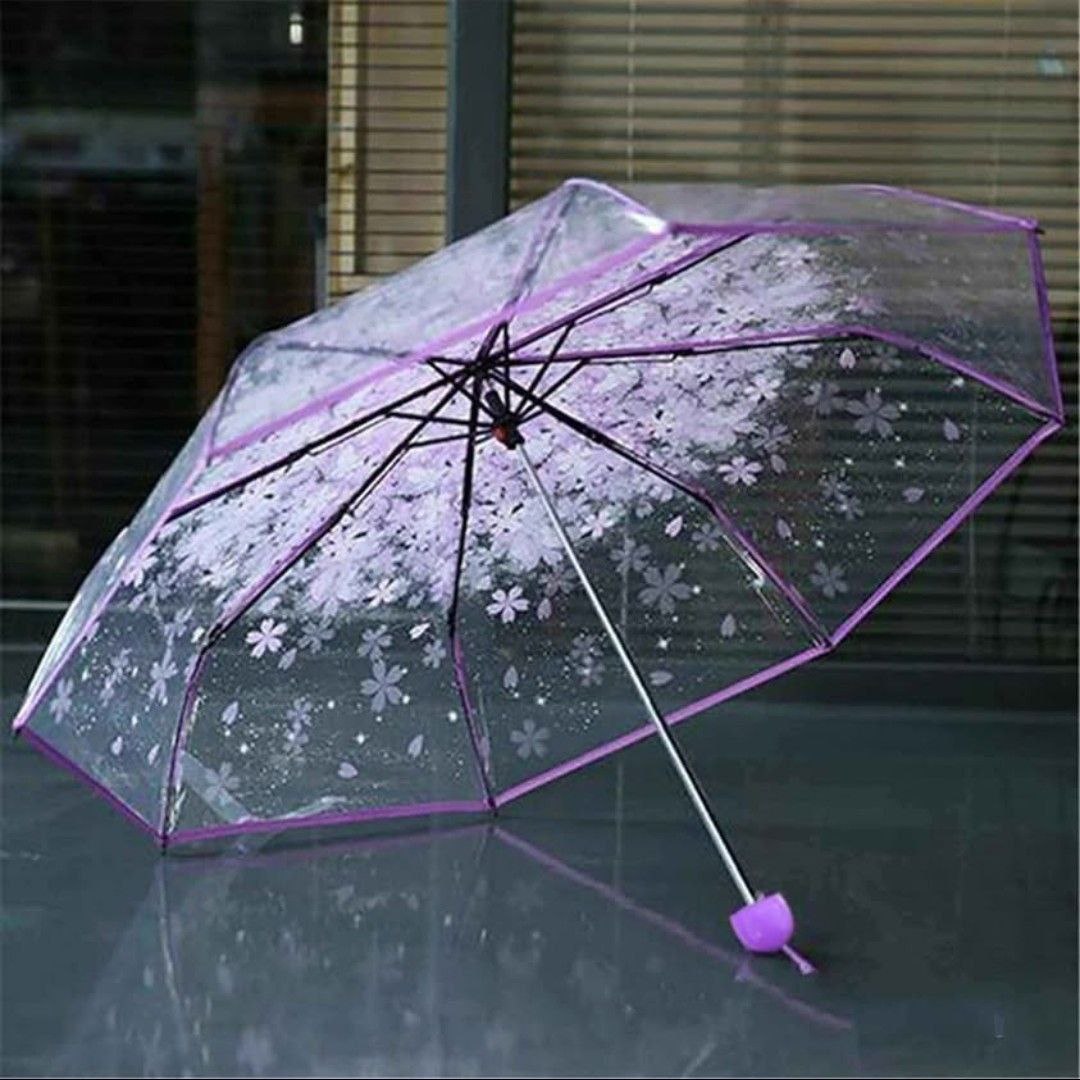 transparent umbrella