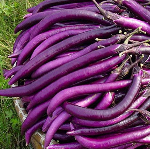 লম্বা বেগুন – Eggplant (এগপ্লান্ট)/ ১ কেজি - Image 1