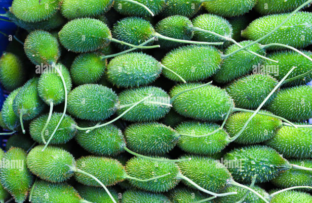 কাঁকরোল – Sweet Bitter Gourd (সুইট বিটার গোর্ড)/ ১ কেজি - Image 1