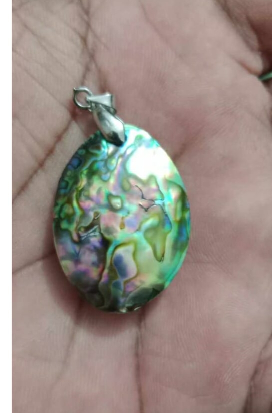 Shel Locket_img_0