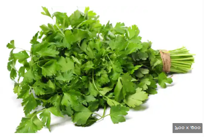 ধনে পাতা – Coriander (করিয়্যান্ডার) - Image 1