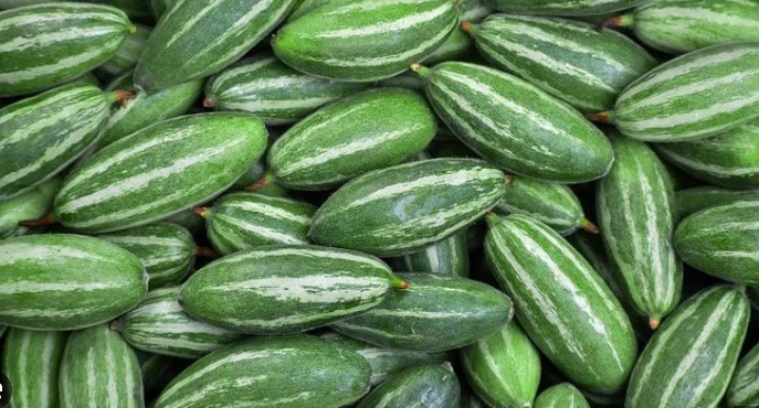 পটল – Pointed gourd (পয়েন্টেড গোর্ড) ১ কেজি - Image 1