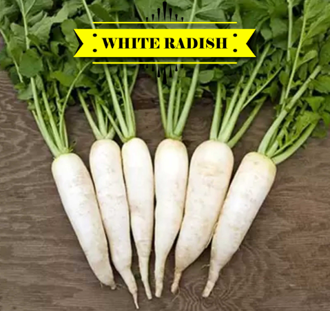 মুলা – Radish (র্যাডিস) / ১ হালি - Image 1