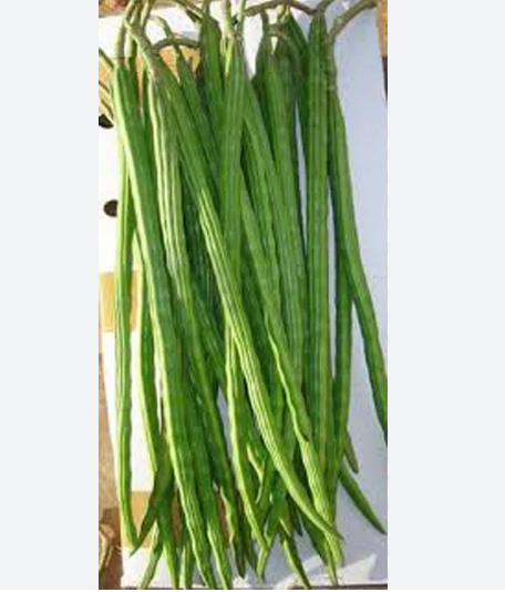 সাজনা – Drum Stick (ড্রাম স্টিক) / ~ ২৫০ গ্রাম (এক মুটা ) - Image 1