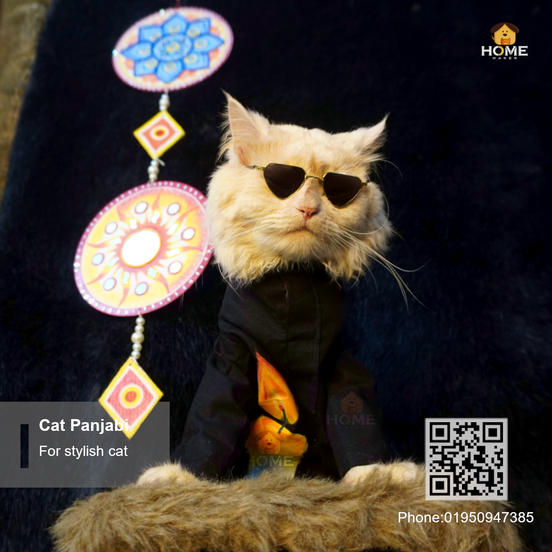 cat panjabi_img_2