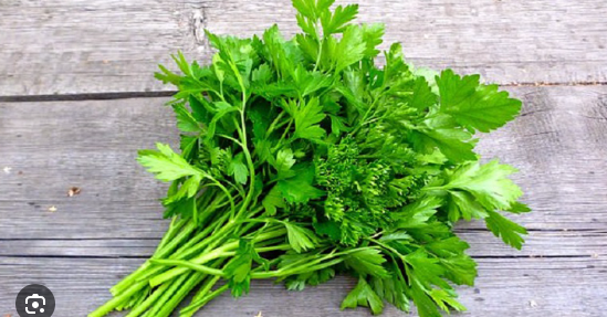 ধনেপাতা (Coriandrum sativum) / ~ ১ মুঠো (আনুমানিক ১২০ থেকে ১৫০ গ্রাম ) - Image 1