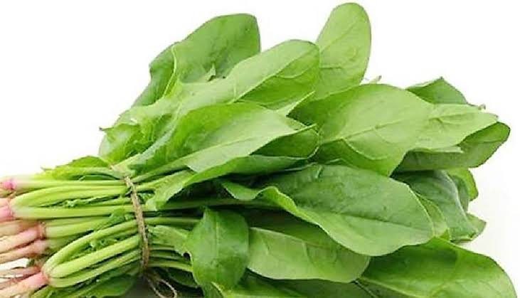 পালং শাকের Spinach (স্পিনাচ)/প্রতি কেজি - Image 1