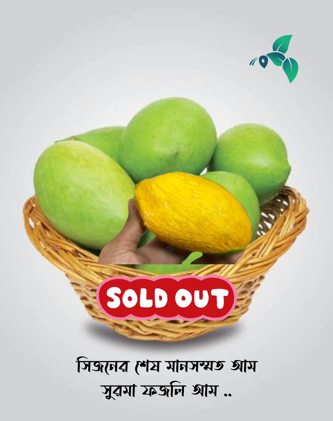 সুরমা ফজলী আম (Surma Fazlee Mango)_img_1