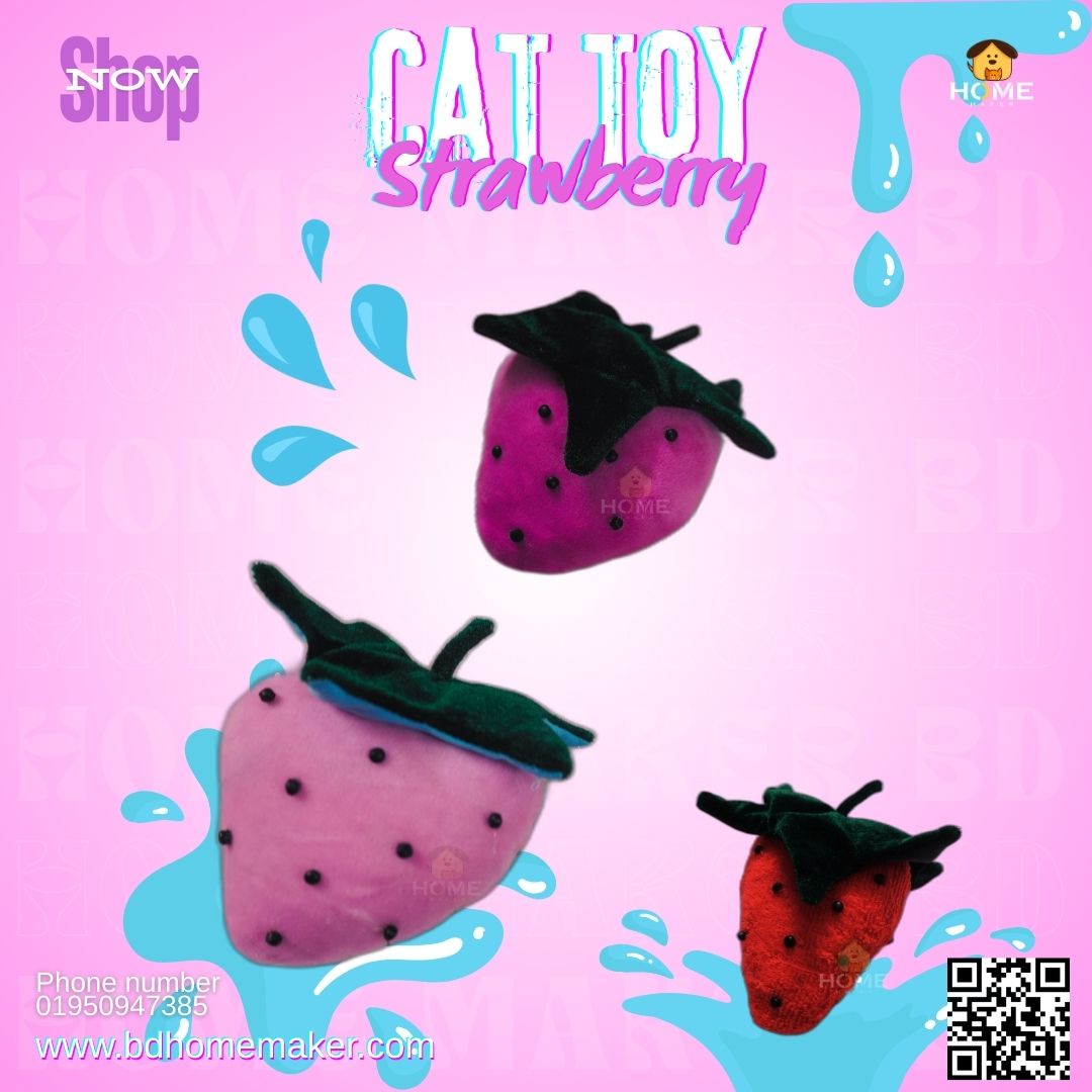 Cat toy_img_0