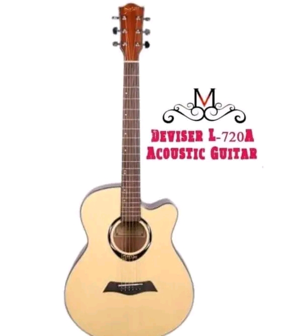 🔥Deviser L-720A Acoustic Guitar_img_1