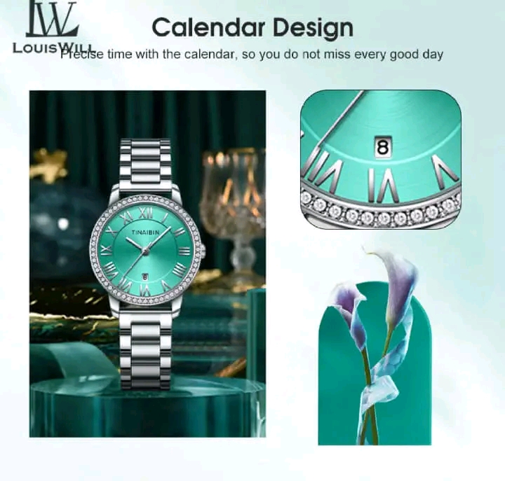 🍁 LouisWill Ladies Retro Diamond Steel Strap Watches..._img_1