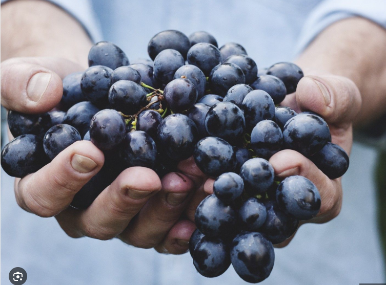 আঙুর কালো (Grapes ) / ১কেজি - Image 1