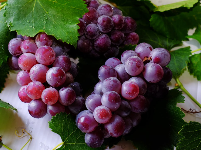 আঙুর কালো (Grapes ) / ১কেজি - Image 3