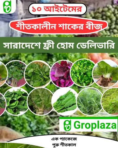 শীতকালীন ১০ আইটেমের শাকের বীজের কম্বো প্যাকেজ_img_0
