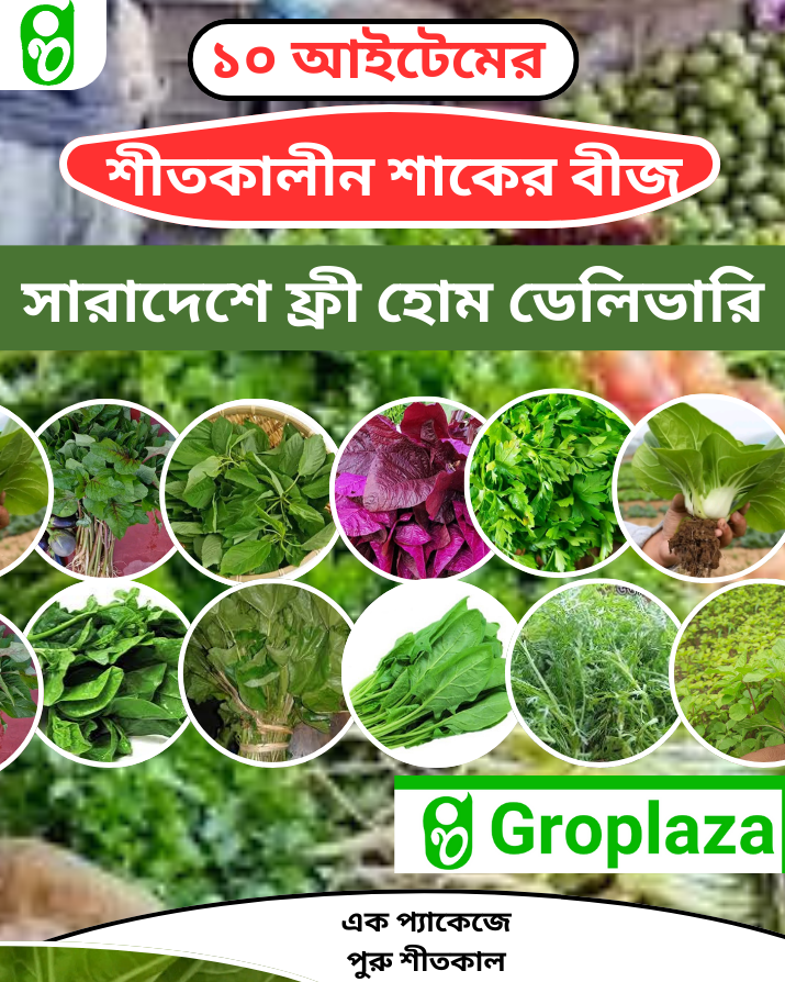শীতকালীন ১০ আইটেমের শাকের বীজের কম্বো প্যাকেজ