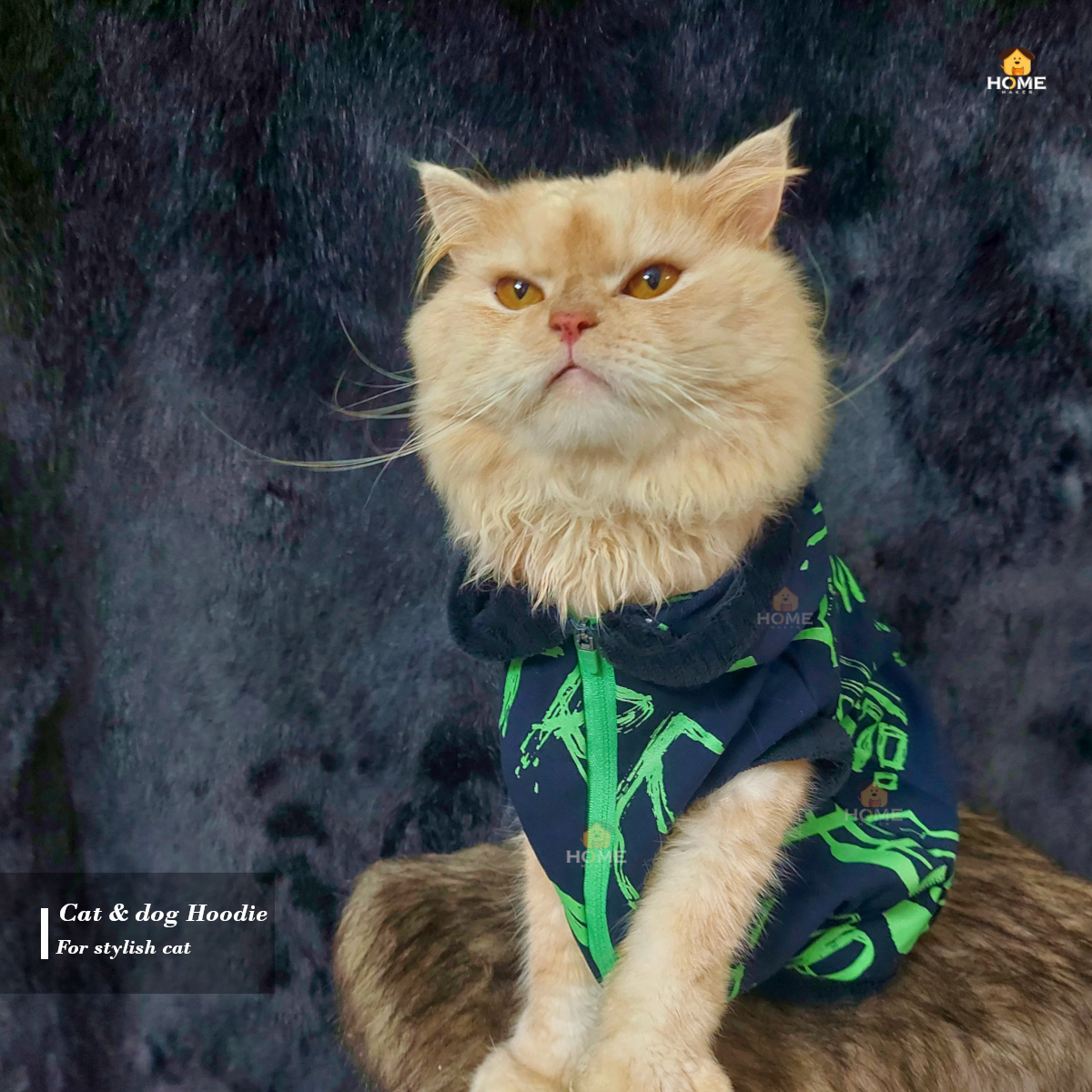 cat hoodie (10 kg)_img_1