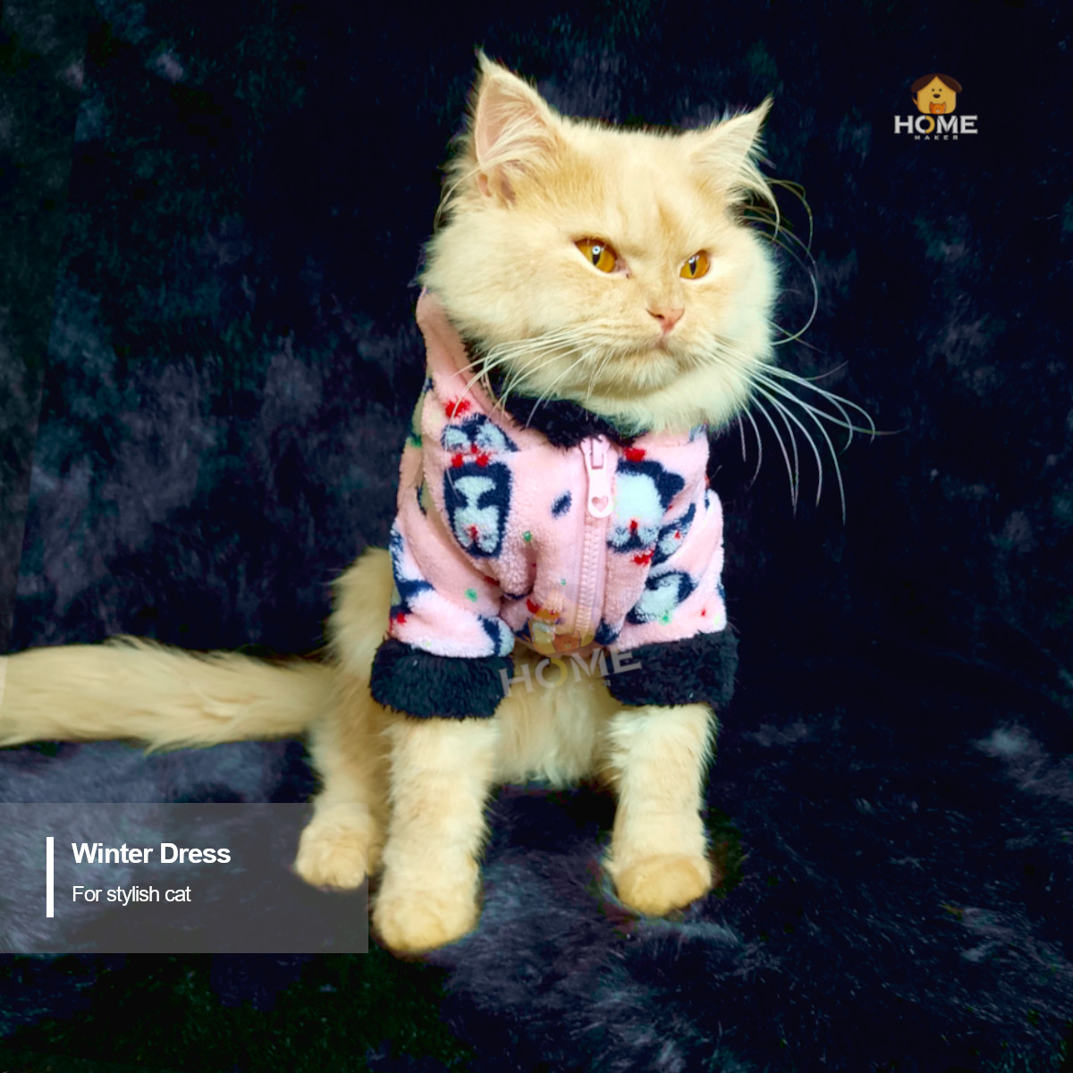 cat hoodie custome_img_2