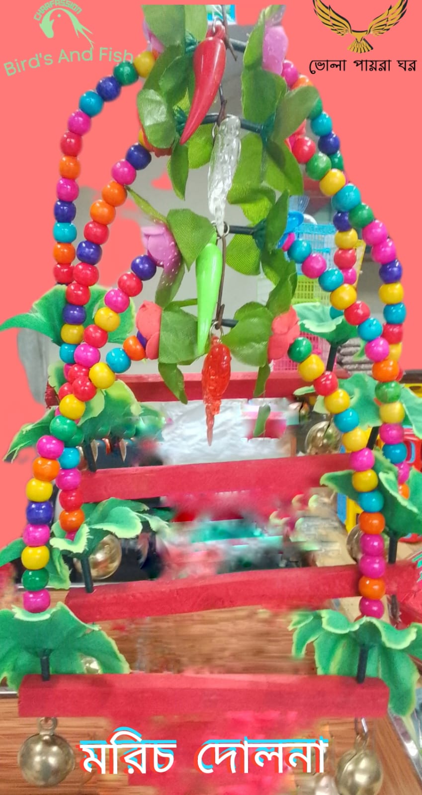 দোলনা (মরিচ)
