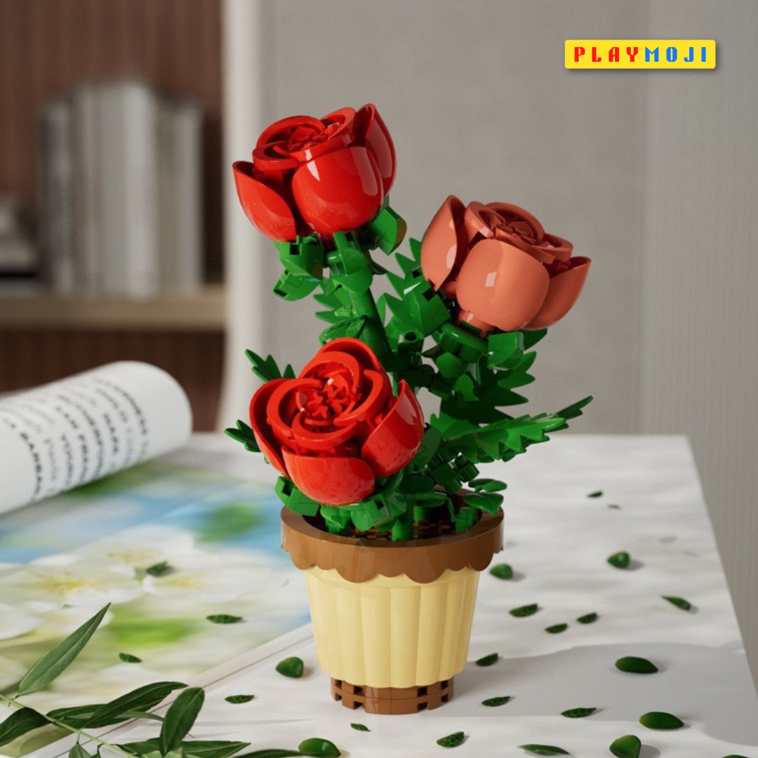 Rose potted plants